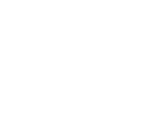 Elizabeth McGuane Logo
